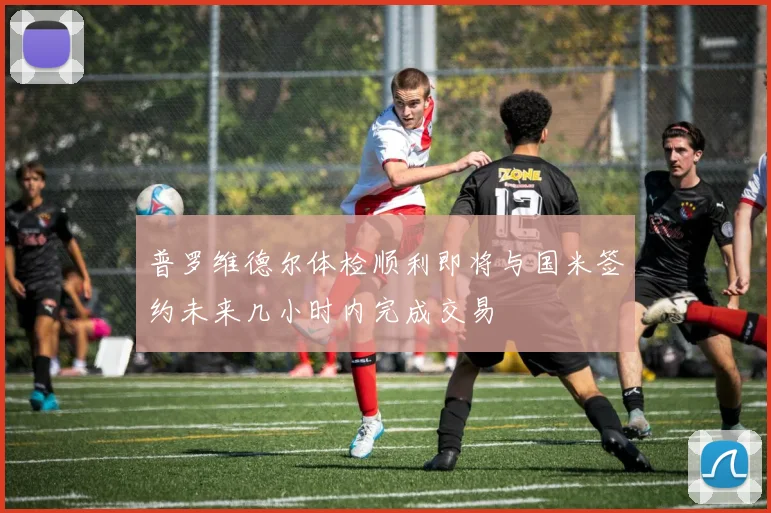 普罗维德尔体检顺利即将与国米签约未来几小时内完成交易
