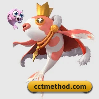 市场拓展